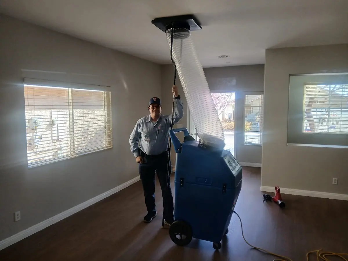 Professional Dryer Vent Cleaning work inside a Willow Park home